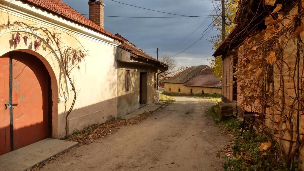 Country House Dunjin Konak Rogljevo Exteriör bild