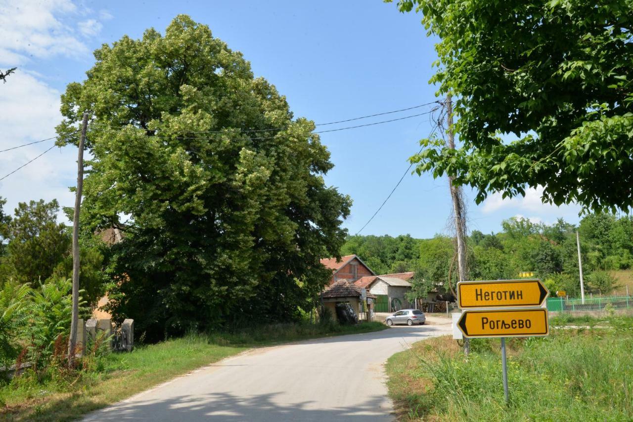 Country House Dunjin Konak Rogljevo Exteriör bild