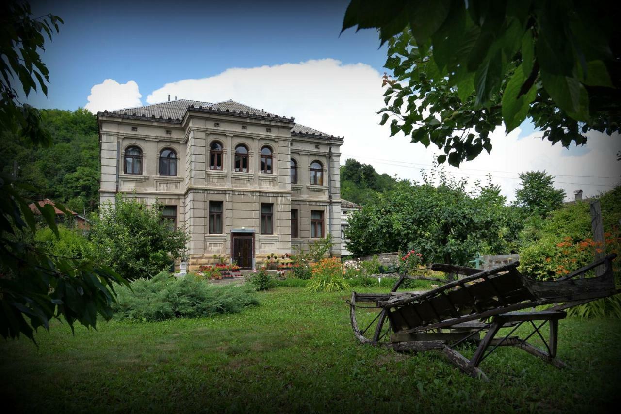 Country House Dunjin Konak Rogljevo Exteriör bild
