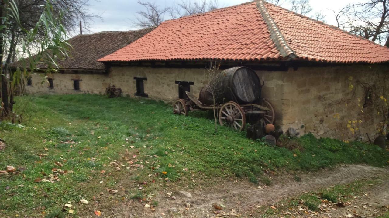 Country House Dunjin Konak Rogljevo Exteriör bild