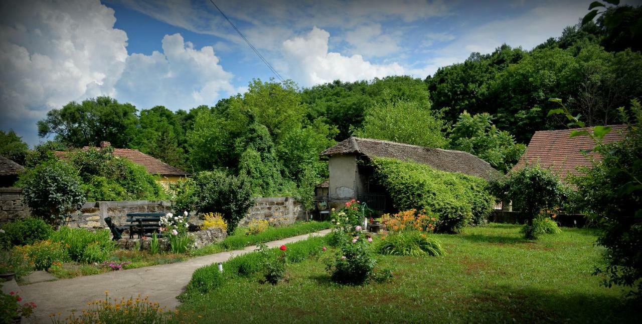 Country House Dunjin Konak Rogljevo Exteriör bild